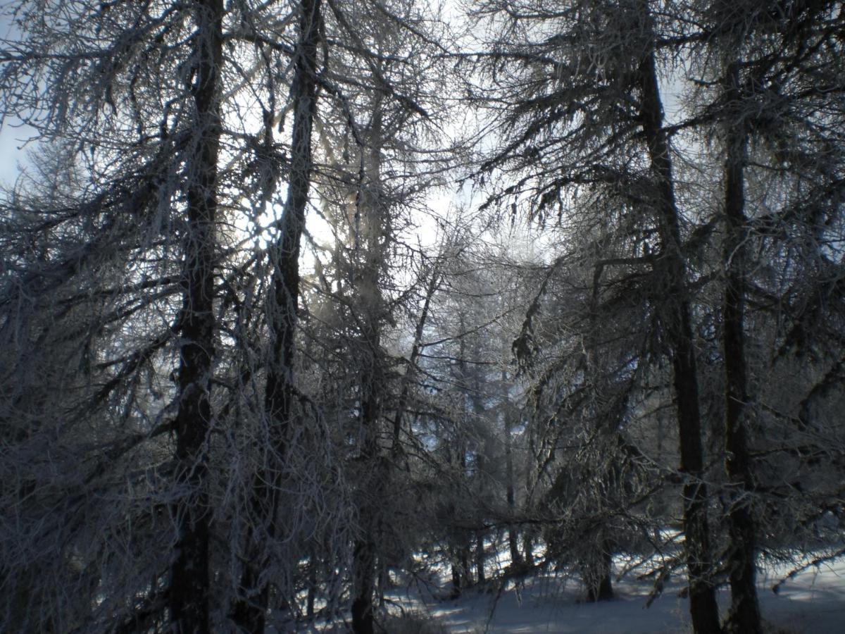 T3 Coquet Et Lumineux Aux Pieds Des Pistes Daire Ancelle Dış mekan fotoğraf